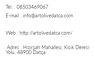 Artolive Data iletiim bilgileri